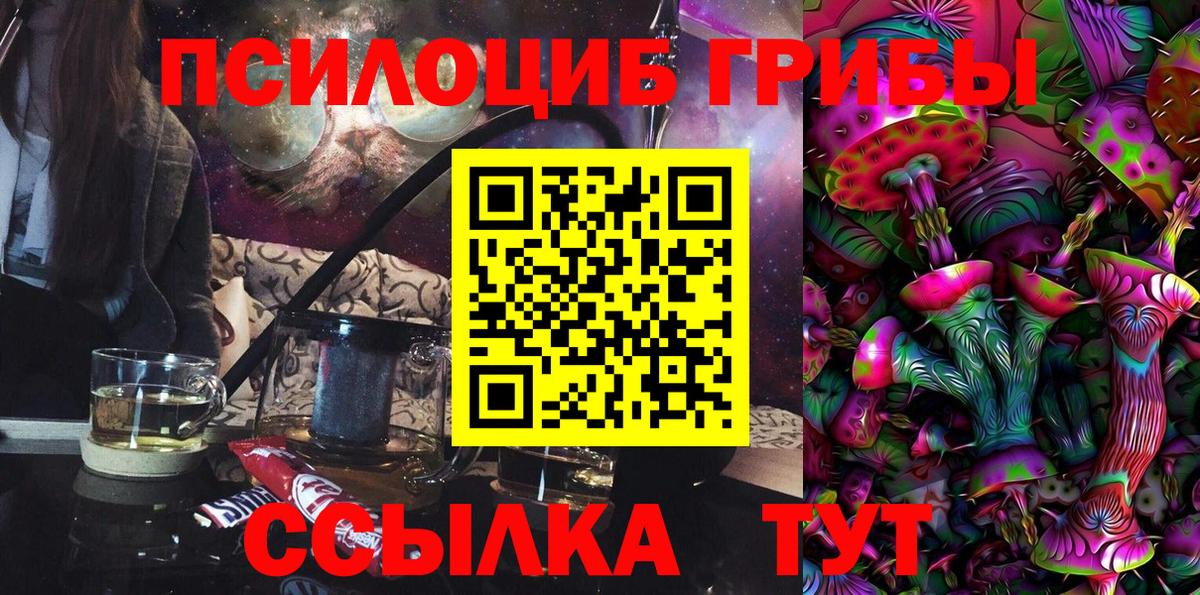 Галлюциногенные грибы мицелий Владивосток