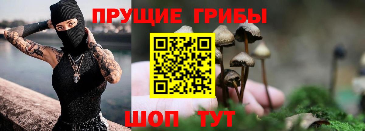 Галлюциногенные грибы Psilocybine cubensis  Вход с VPN  Владивосток 